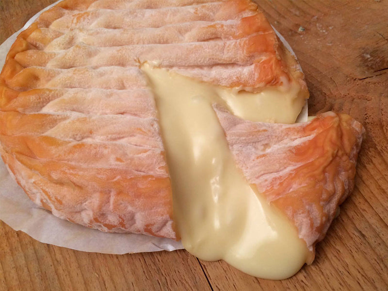 Cheese Epoisses