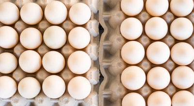 Duck Eggs
