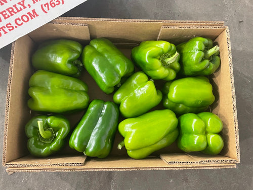Bell Pepper Green 10ct
