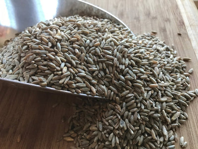 Organic Dark Northern Rye Berries 25lb