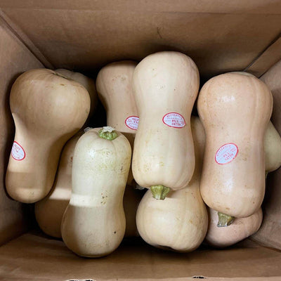 Squash Butternut Fresh 20lbs