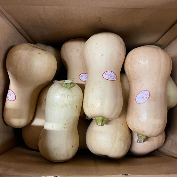 Squash Butternut Fresh 20lbs