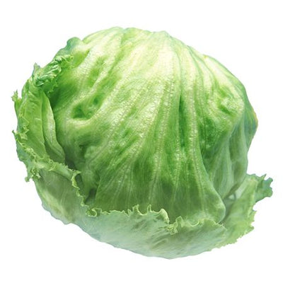 Lettuce Head Cello