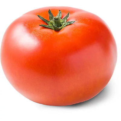 Tomato Hot House EXLarge
