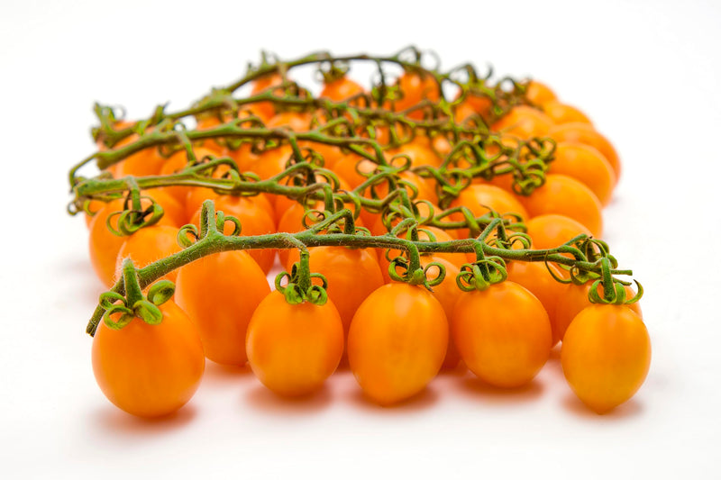 Tomato Datterino Giallo ACQUA Tomat 6/800g