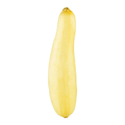 Vegetable Squash yellow 12/2lbs Bargain