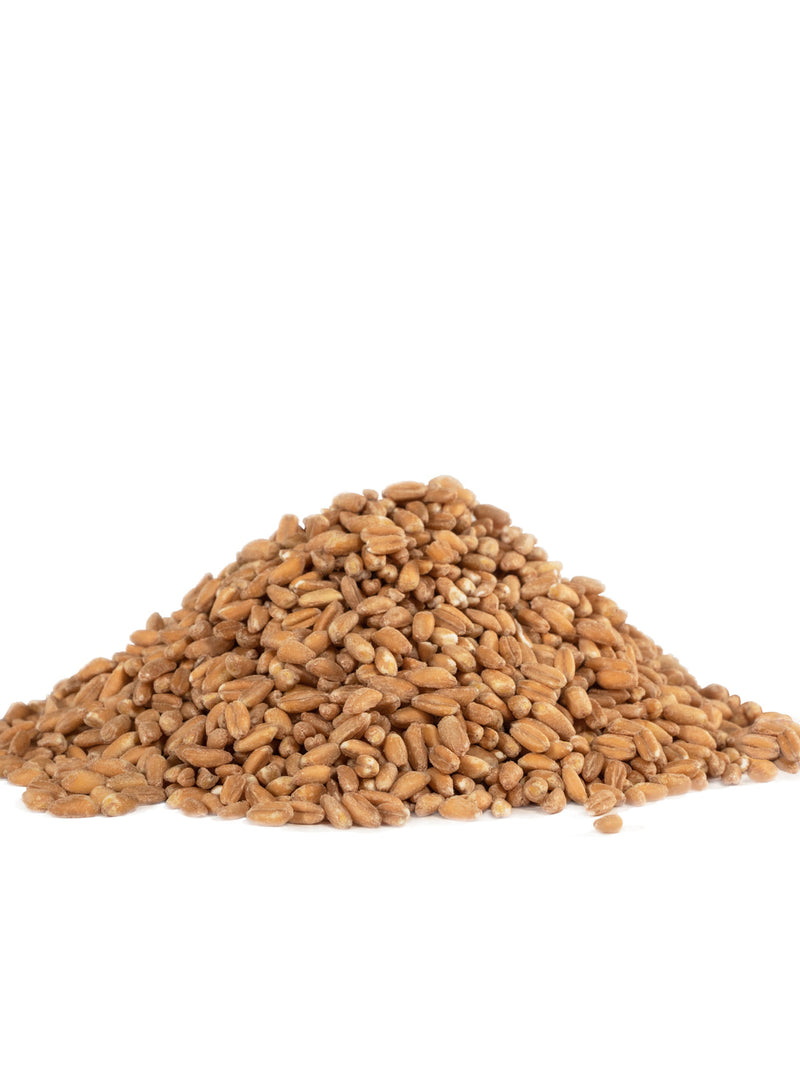 Natural Foods Farro 25lb