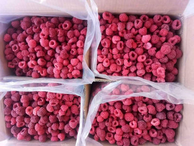 Raspberies IQF 6/2.5