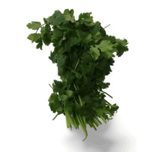 Cilantro Bunch 3ct