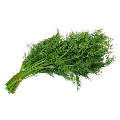 Dill Weed Fresh