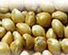 Millet - Hulled 25lb - Sold by PACK
